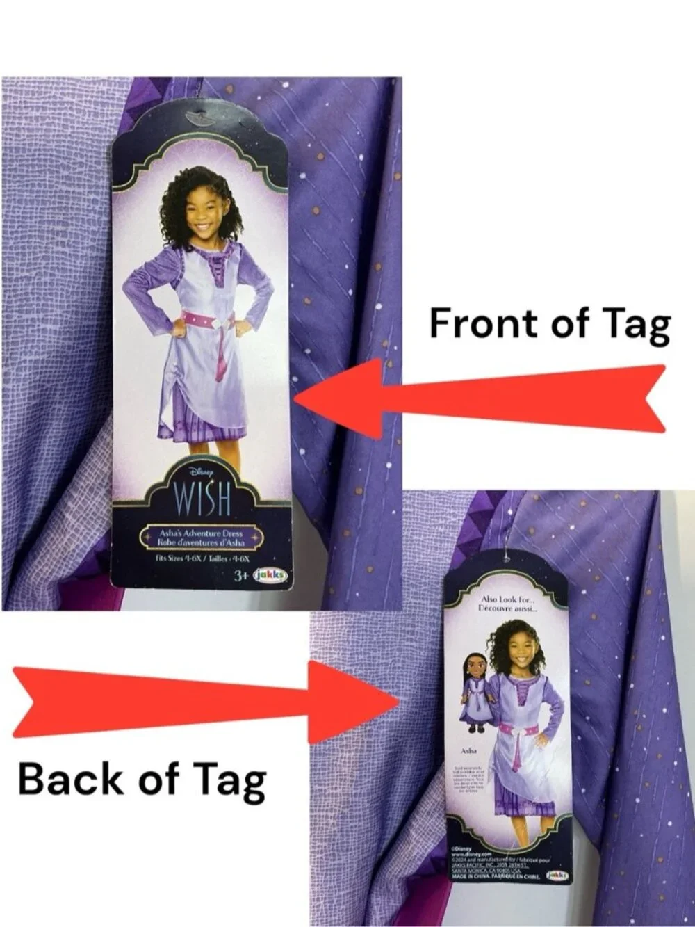 Disney wish asha